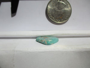 8.1ct. (19x17x3.5 mm) 100% Natural Qingu Mine Turquoise Gemstone # 1DN 28