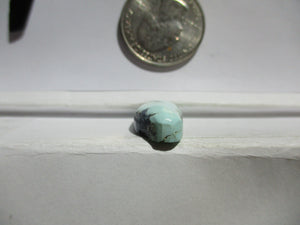 11.6ct. (22x11.5x6 mm) 100% Natural Qingu Mine Turquoise Gemstone # 1DN 29