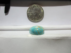 22.6 ct (20x19x9 mm) Stabilized Kingman Turquoise Cabochon Gemstone, # 1DP 08