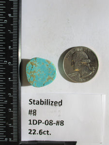 22.6 ct (20x19x9 mm) Stabilized Kingman Turquoise Cabochon Gemstone, # 1DP 08