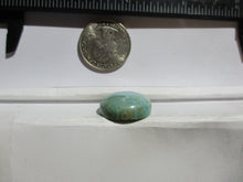 Load image into Gallery viewer, 27.1 ct (24x21x7 mm) Stabilized Web #8 Turquoise, Cabochon Gemstone, # 1DP 38