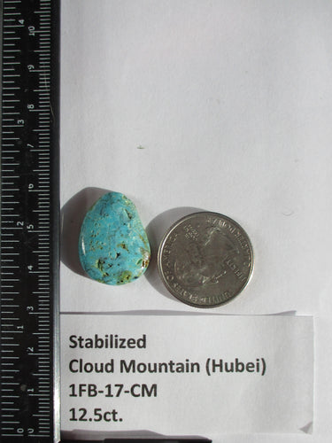 12.5 ct. (23.5x18x4.5 mm) Stabilized Cloud Mountain (Hubei) Turquoise Cabochon, Gemstone, # 1FB 17