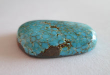 Load image into Gallery viewer, 17.50 ct Natural Nevada Blue Spiderweb Turquoise, 23x16x5 mm, Cabochon Gemstone, # DS 002