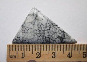 36.60 ct (38x25x5 mm) Natural Alaska Coral Cabochon Gemstone, # 1AR 002