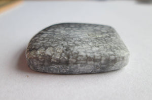 56.40 ct (30x28.5x6.5 mm) Natural Alaska Coral Cabochon Gemstone, # 1AR 005
