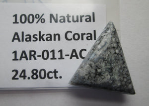 24.80 ct (25x22x7 mm) Natural Alaska Coral Cabochon Gemstone, # 1AR 011