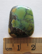 Load image into Gallery viewer, 32.80 ct. (22x18x8 mm) Natural Qingu Mine, Hubei Turquoise (no backing) Cabochon Gemstone, # 1BR 053