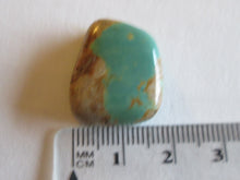 Load image into Gallery viewer, 27.70 ct. (21x18x8 mm) Stabilized Qingu Mine (Hubei) Turquoise Cabochon Gemstone, 1CB 011