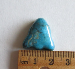 22.00 ct. (21x20x7 mm) Stabilized Kingman Turquoise Cats Head Cabochon Gemstone, 2AD 010