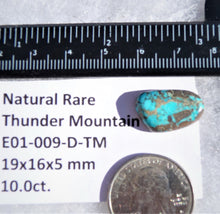 Load image into Gallery viewer, 10.0 ct. Natural Rare Thunder Mountain Turquoise (Backed) 19x16x5 mm Cabochon, Gemstone E01-009-D-TM