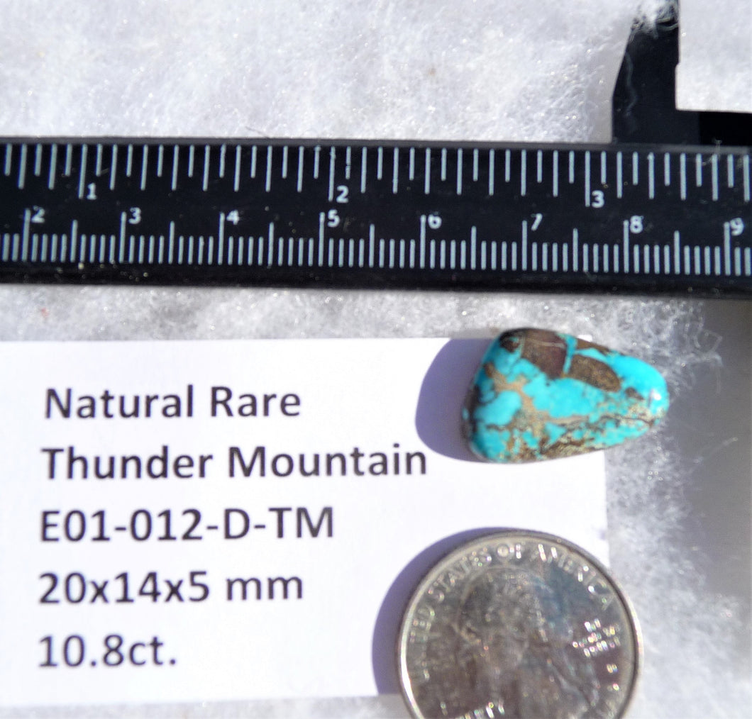 10.8 ct. Natural Rare Thunder Mountain Turquoise (Backed) 20x14x5 mm Cabochon, Gemstone E01-012-D-TM