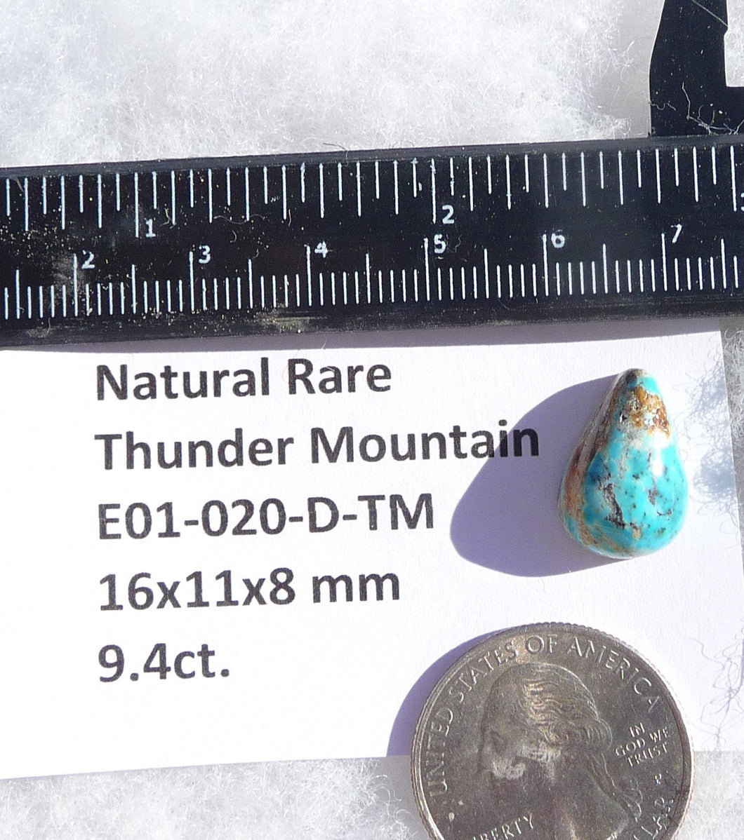 9.4 ct. Natural Rare Thunder Mountain Turquoise (Backed) 16x11x8 mm Cabochon, Gemstone E01-020-D-TM