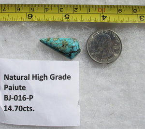 14.7 ct. (29.5x15x6 mm) Natural High Grade Paiute Turquoise Cabochon, Gemstone BJ 016 P