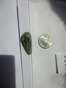 46.7 ct. (33x27x6 mm)  100% Natural Qingu Mine (Hubei) Turquoise Gemstone, FI 021