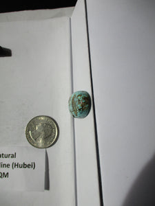29.9 ct. (33x18x6.5 mm) 100% Natural Web Qingu Mine (Hubei) Turquoise Cabochon, Gemstone, # FA 040