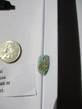 Load image into Gallery viewer, 16.8 ct (17x15x7.5 mm)  Natural Manassa Turquoise Cabochon Gemstone, PP 094
