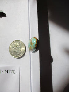 20.3 ct (31x15x5.5 mm)  Natural Blue Gem (Battle MTN) Turquoise Cabochon Gemstone, AR 067