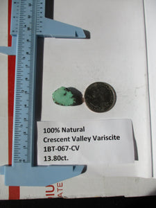 13.8 ct. (20x14x7 mm) 100% Natural Crescent Valley Variscite Cabochon Gemstone, # 1BT 067