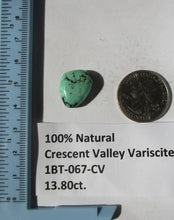 Load image into Gallery viewer, 13.8 ct. (20x14x7 mm) 100% Natural Crescent Valley Variscite Cabochon Gemstone, # 1BT 067