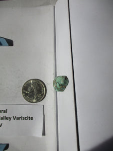 17.3 ct. (22x14.5x7.5 mm) 100% Natural Crescent Valley Variscite Cabochon Gemstone, # 1BT 058