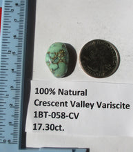 Load image into Gallery viewer, 17.3 ct. (22x14.5x7.5 mm) 100% Natural Crescent Valley Variscite Cabochon Gemstone, # 1BT 058
