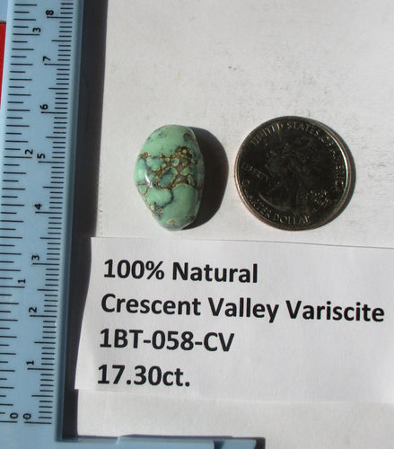 17.3 ct. (22x14.5x7.5 mm) 100% Natural Crescent Valley Variscite Cabochon Gemstone, # 1BT 058