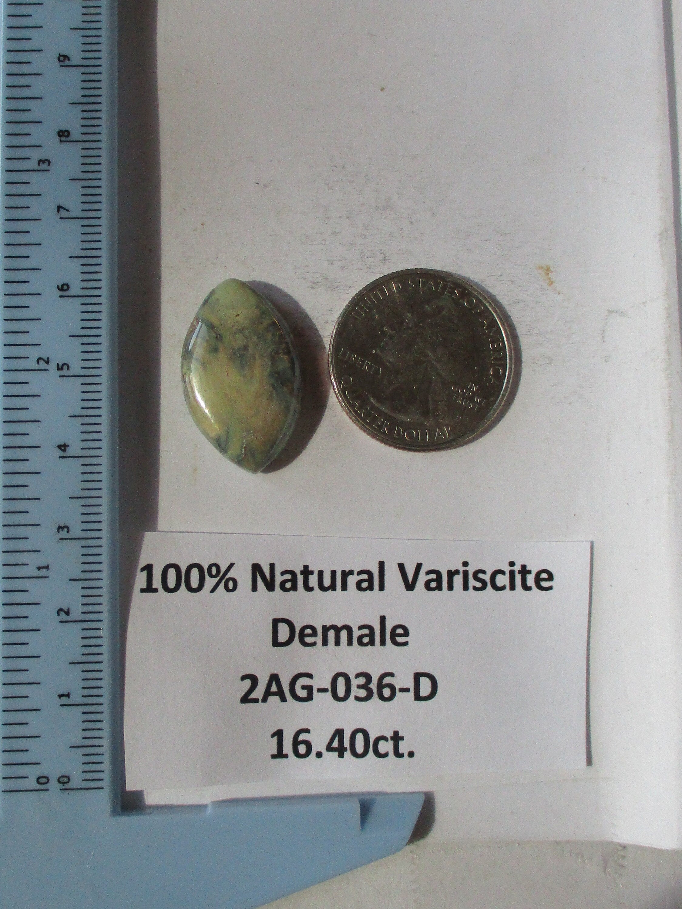 16.4 ct. (25x16x6 mm) 100% Natural Damele Variscite Cabochon Gemstone, # 2AG 036 S