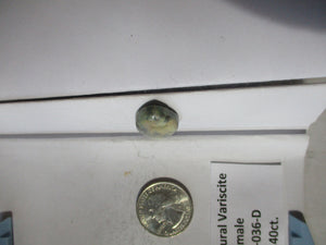 16.4 ct. (25x16x6 mm) 100% Natural Damele Variscite Cabochon Gemstone, # 2AG 036 S