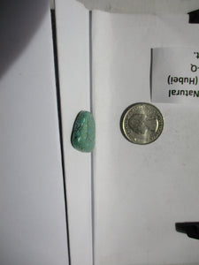 20.6 ct. (21x21x5 mm)  100% Natural Qingu Mine (Hubei) Turquoise Cabochon, Gemstone, FI 041