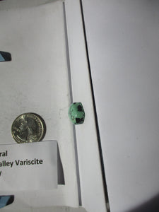 13.8 ct. (20x14x7 mm) 100% Natural Crescent Valley Variscite Cabochon Gemstone, # 1BT 067