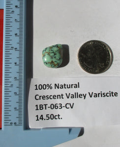 14.5 ct. (18.5x16x7 mm) 100% Natural Crescent Valley Variscite Cabochon Gemstone, # 1BT 063