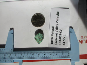 14.5 ct. (18.5x16x7 mm) 100% Natural Crescent Valley Variscite Cabochon Gemstone, # 1BT 063