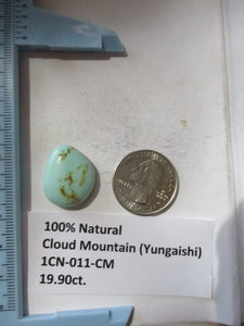 19.9 ct. (22x18x7  mm) 100% Natural Cloud Mountain (Yungaishi) Turquoise Cabochon Gemstone, 1CN 011