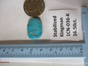 16.5 ct. (22x16x6 mm) Stabilized Kingman Turquoise, Cabochon Gemstone, 1CN 036