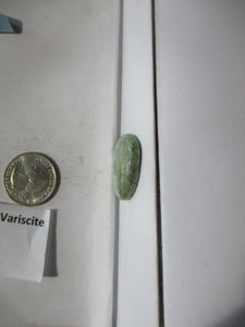 24.6 ct. (27x19.5x6 mm) 100% Natural Damele Variscite Cabochon Gemstone, # 2AG 012 S