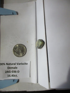 16.4 ct. (25x16x6 mm) 100% Natural Damele Variscite Cabochon Gemstone, # 2AG 036 S