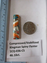 Load image into Gallery viewer, 46.1 ct.(45x11x7 mm) Pressed/Stabilized Kingman Spiny Oyster Turquoise Cabochon, Gemstone, 1CQ 036