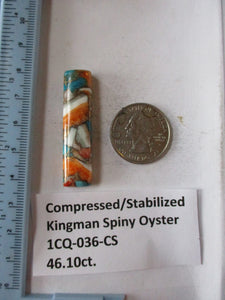 46.1 ct.(45x11x7 mm) Pressed/Stabilized Kingman Spiny Oyster Turquoise Cabochon, Gemstone, 1CQ 036