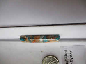 44.8 ct.(48x11x6.5 mm) Pressed/Stabilized Kingman Spiny Oyster Turquoise Cabochon, Gemstone, 1CQ 037