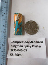 Load image into Gallery viewer, 58.2 ct. (36x14x8.5 mm) Pressed/Stabilized Kingman Spiny Oyster Turquoise Cabochon, Gemstone, 1CQ 046