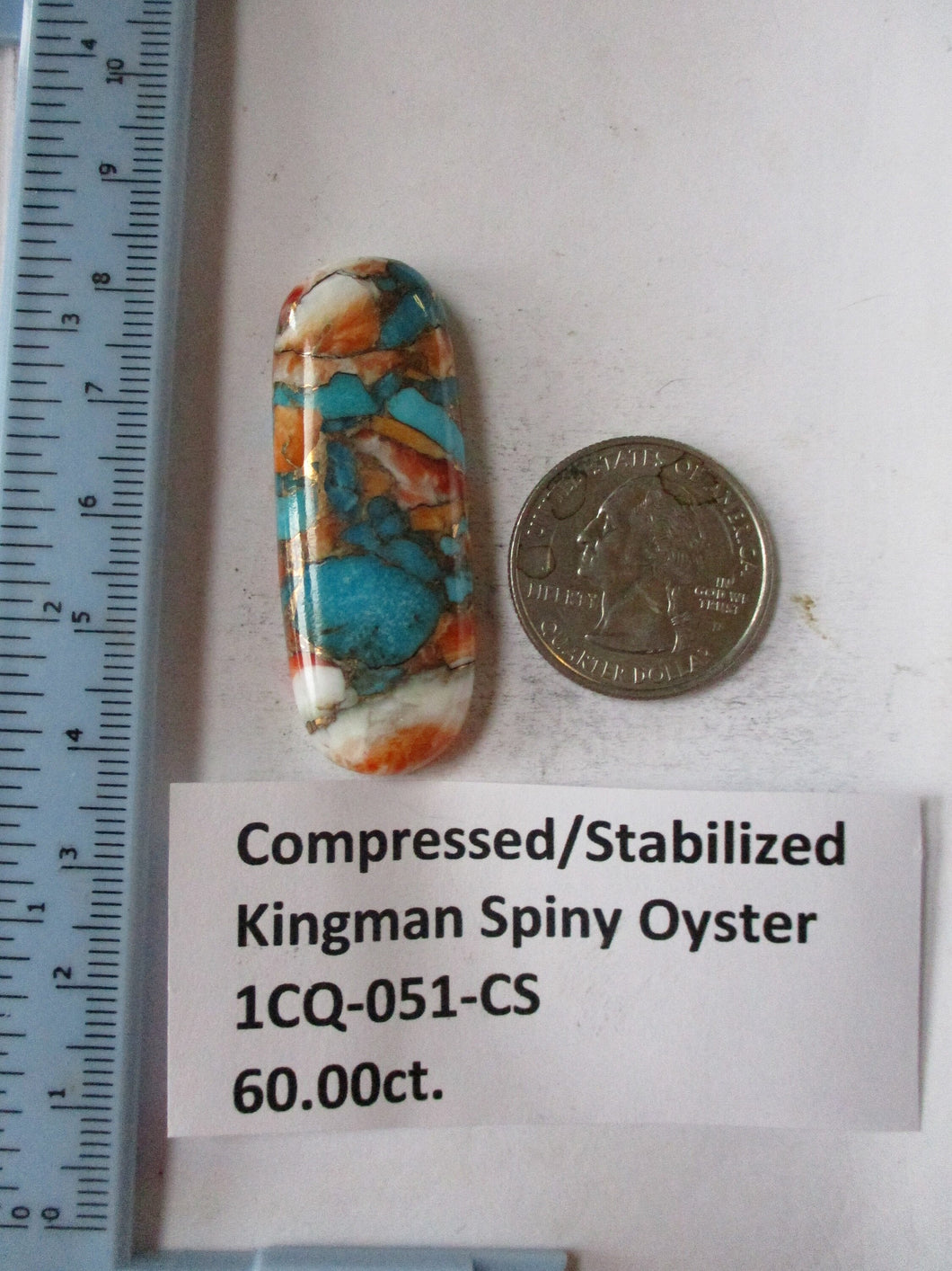 60.0 ct. (47x17.5x7 mm) Pressed/Stabilized Kingman Spiny Oyster Turquoise Cabochon, Gemstone, 1CQ 051