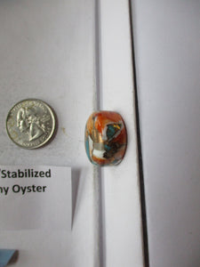 52.1 ct. (23 round x 10.5 mm) Pressed/Stabilized Kingman Spiny Oyster Turquoise Cabochon, Gemstone, 1CQ 056