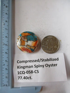 77.4 ct. (27 round x 10 mm) Pressed/Stabilized Kingman Spiny Oyster Turquoise Cabochon, Gemstone, 1CQ 058