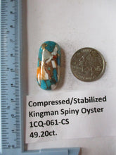 Load image into Gallery viewer, 49.2 ct. (34x16x8.5 mm) Pressed/Stabilized Kingman Spiny Oyster Turquoise Cabochon, Gemstone, # 1CQ 061
