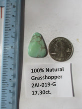 Load image into Gallery viewer, 17.3 ct. (25x18x5 mm) 100% Natural Rare Grasshopper Turquoise Cabochon Gemstone, # 2AI 019 s