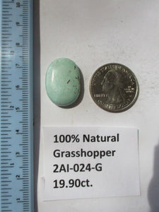19.9 ct. (23x17x6 mm) 100% Natural Rare Grasshopper Turquoise Cabochon Gemstone, # 2AI 024 s