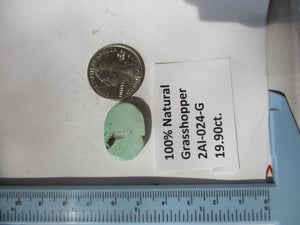 19.9 ct. (23x17x6 mm) 100% Natural Rare Grasshopper Turquoise Cabochon Gemstone, # 2AI 024 s