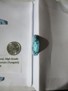 50.5 ct. (31.5x28.5x6 mm) 100% Natural High Grade Web Cloud Mountain (Yungaishi) Turquoise Cabochon Gemstone, GU 052