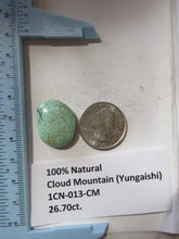Load image into Gallery viewer, 26.7 ct. (24x19x7.5  mm) 100% Natural Cloud Mountain (Yungaishi) Turquoise Cabochon Gemstone, 1CN 013