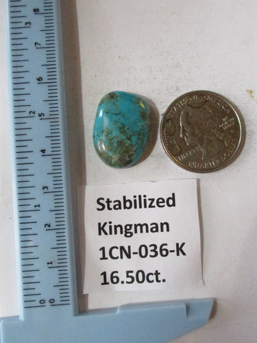 16.5 ct. (22x16x6 mm) Stabilized Kingman Turquoise, Cabochon Gemstone, 1CN 036